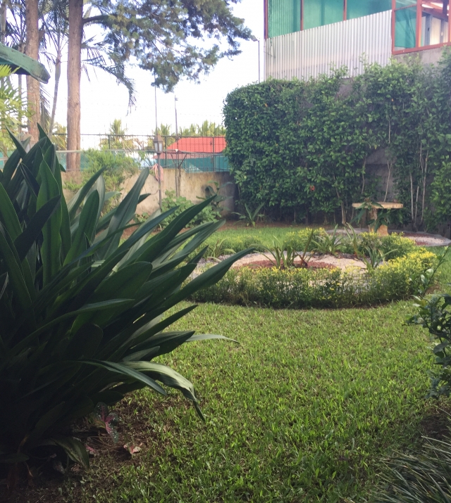 Amplio patio, zona verde